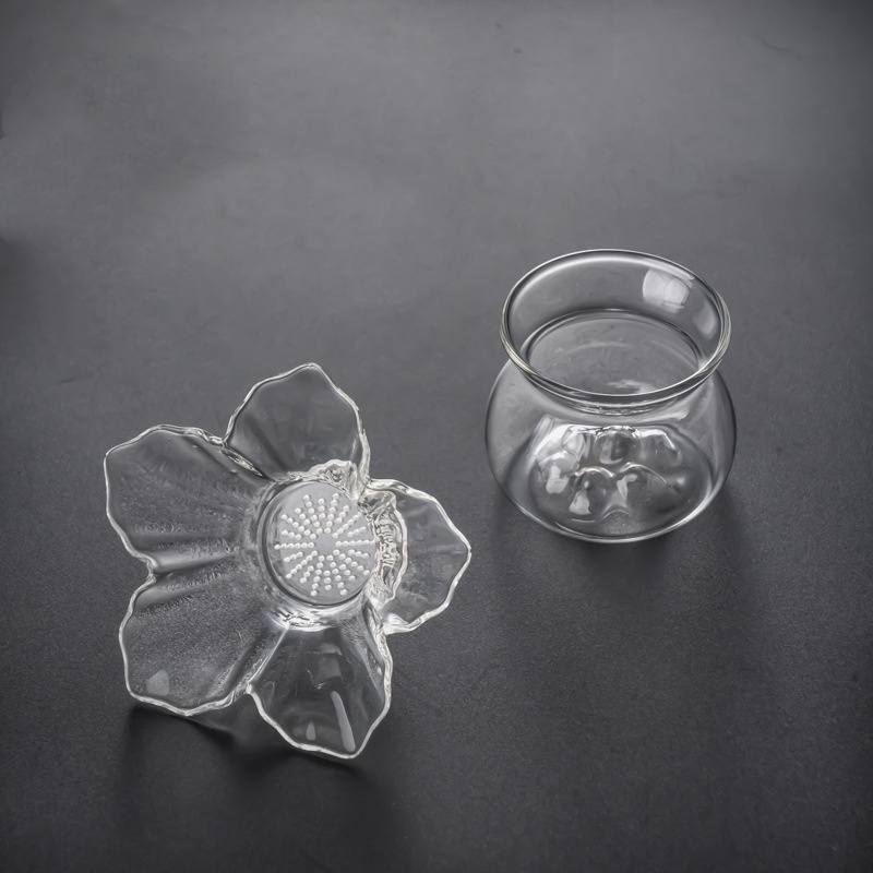 Infusore per Tè in Vetro con S - Loose Leaf Tea Infuser recensione e prezzo